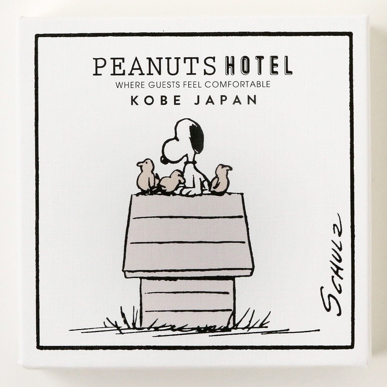 ART BOX PEANUTS HOTEL 01