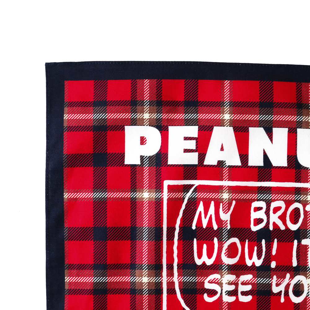 PEANUTS Cafe SMT バンダナ チェックレッド