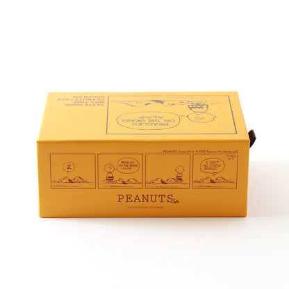 シュガーパイBOX 2025 オレンジ