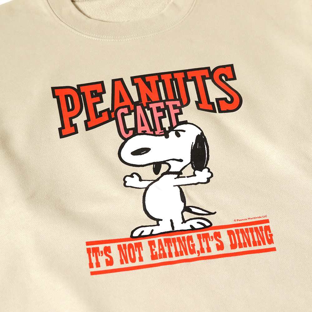 【未使用】PEANUTScafe オリジナルプレート　2枚セット PEANUTS Cafe Online Shop / ピーナッツカフェ オンラインショップ