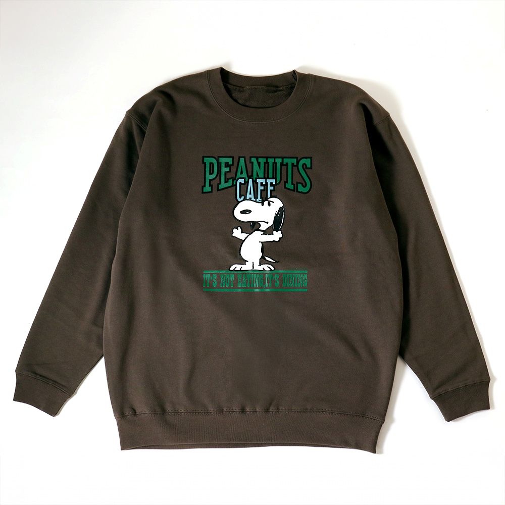 【未使用】PEANUTScafe オリジナルプレート　2枚セット PEANUTS Cafe Online Shop / ピーナッツカフェ オンラインショップ
