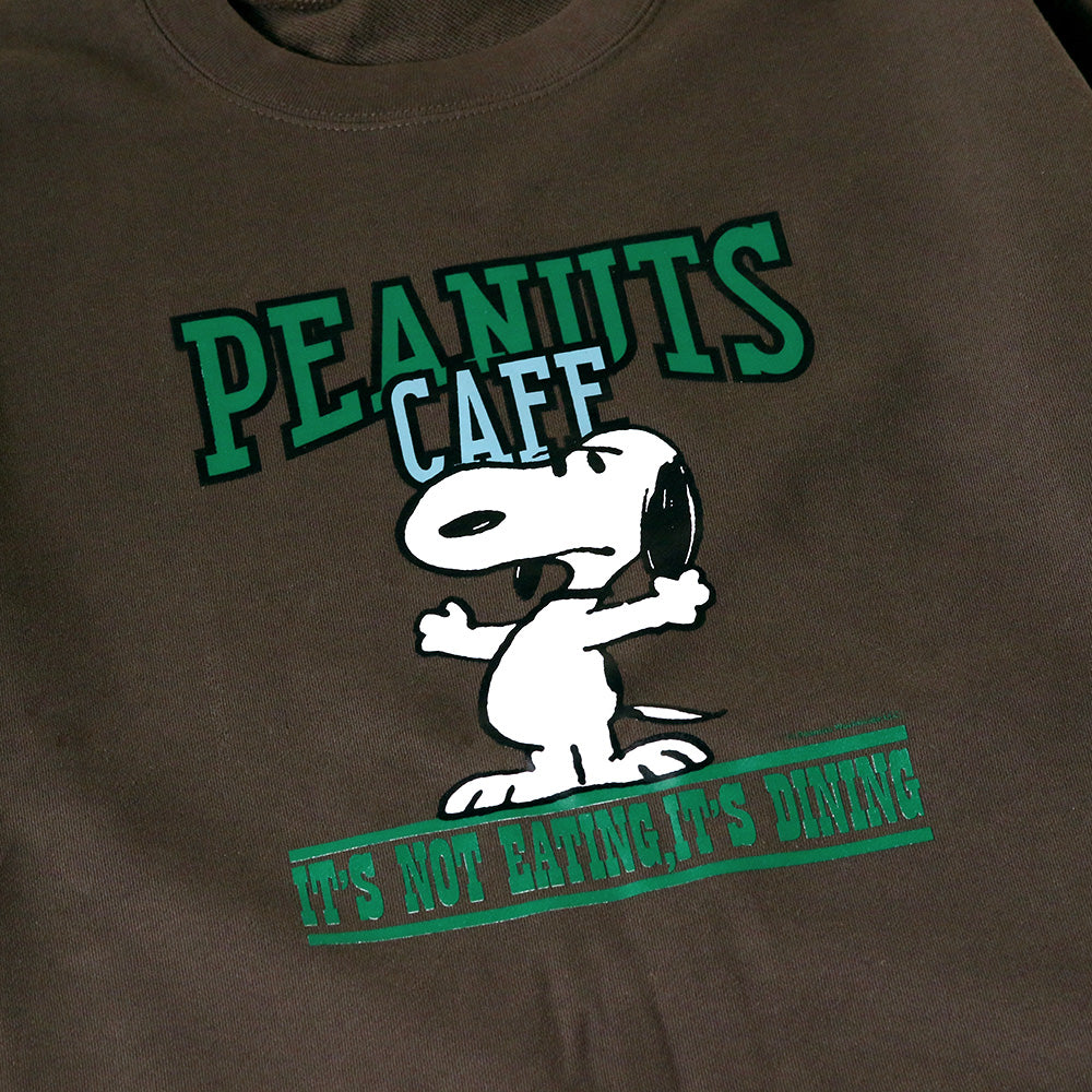 【未使用】PEANUTScafe オリジナルプレート　2枚セット PEANUTS Cafe Online Shop / ピーナッツカフェ オンラインショップ